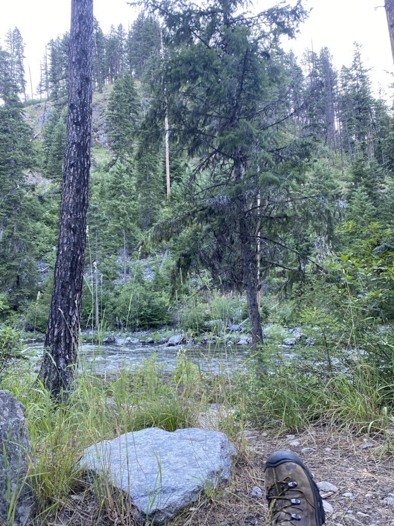 IMG_0611.jpg