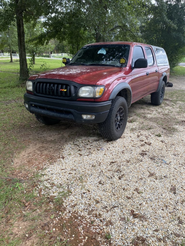 IMG_0639.jpg