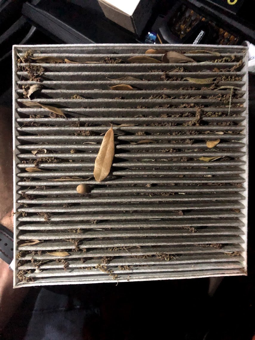 20,000 mile Toyota Care Cabin Filter | Tacoma World