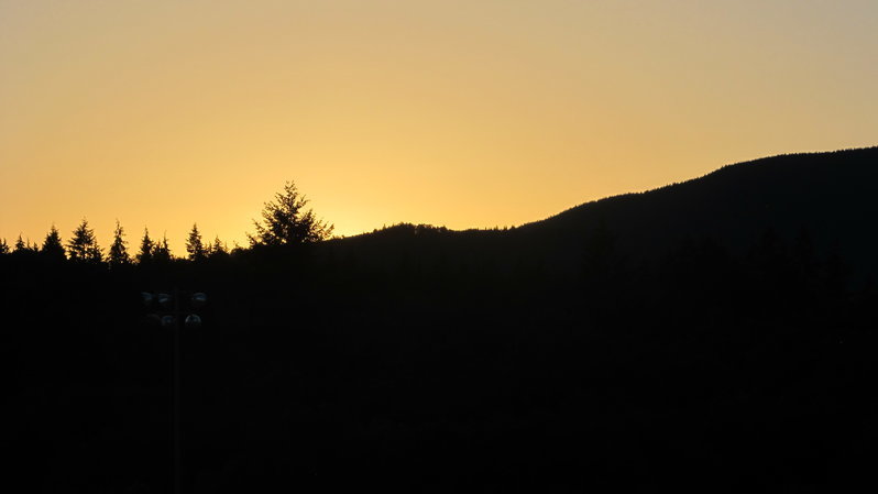 IMG_0646.jpg