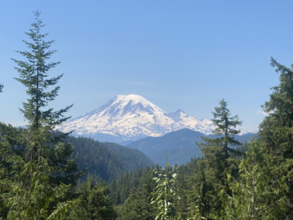 IMG_0649.jpg