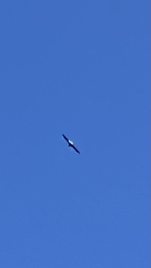 IMG_0653.jpg