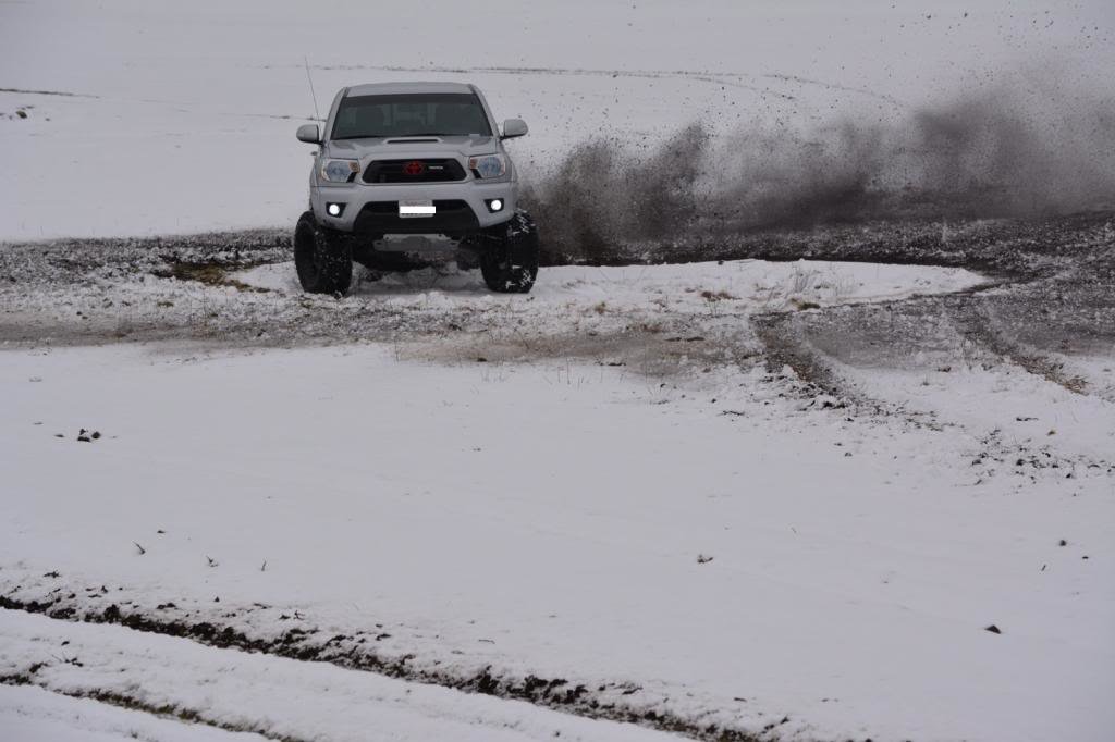IMG_0654_zps92896d3e_2882718d671c60a5a1f2950f9aadfaa7e590fd20.jpg