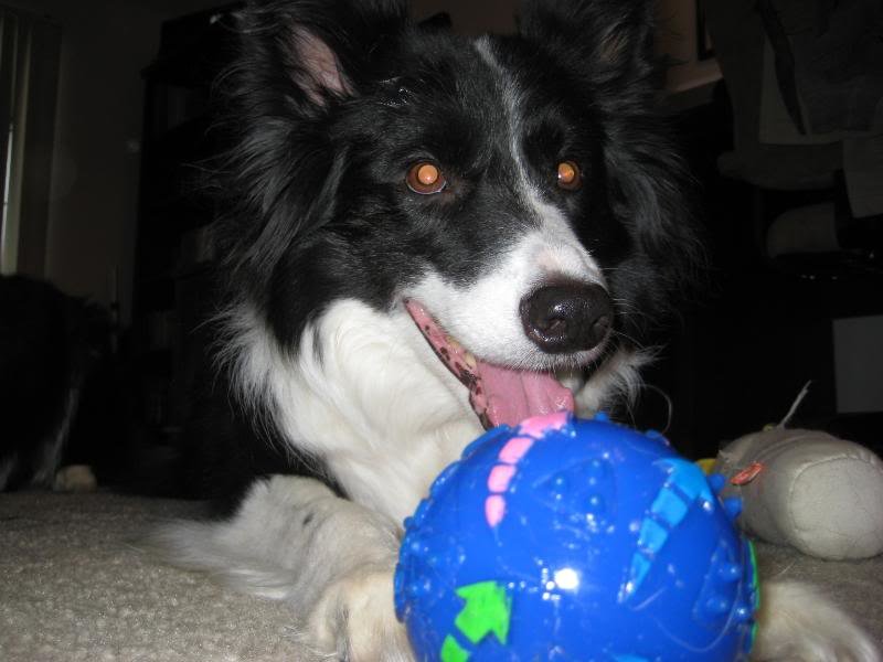 IMG_0676_f62d67e6304c3fcaccdb7af97b2e17bc5ba7df2f.jpg