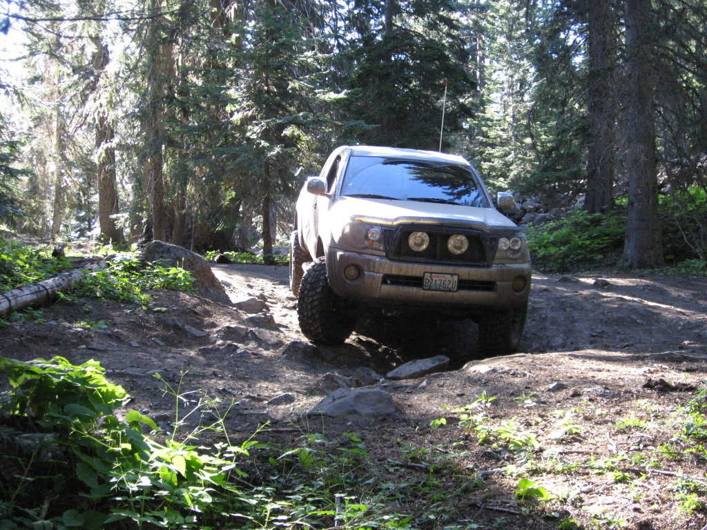 IMG_0685_32bfb847e99307ffbeaf803abdded47c6b1ada29.jpg