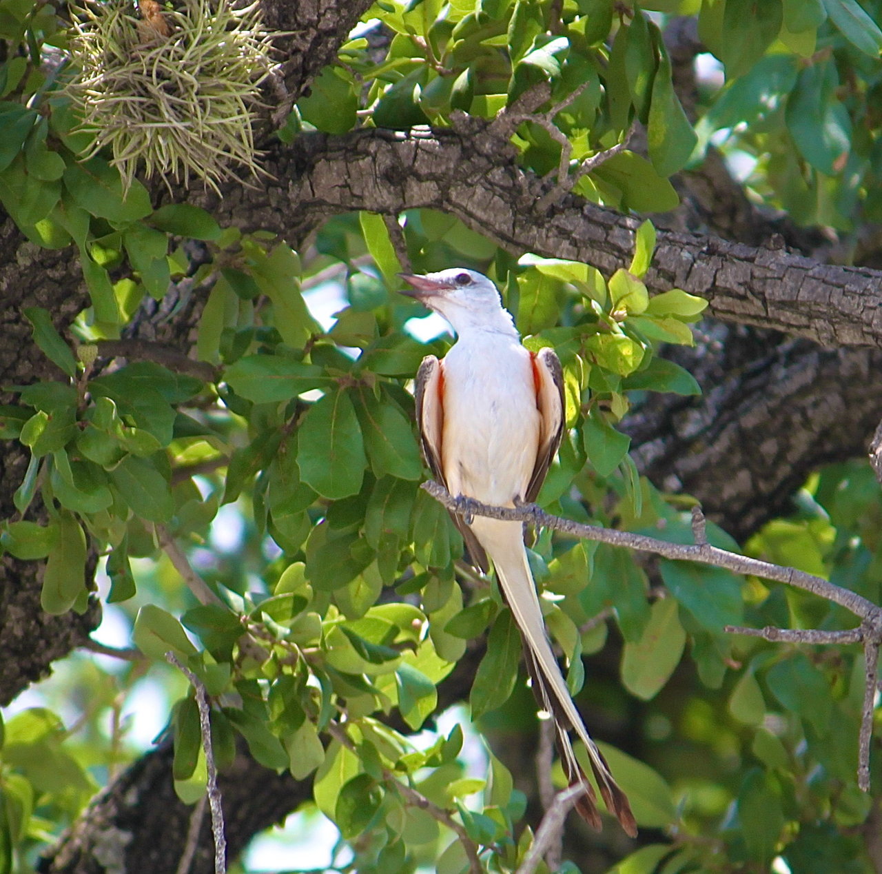 IMG_0705.jpg