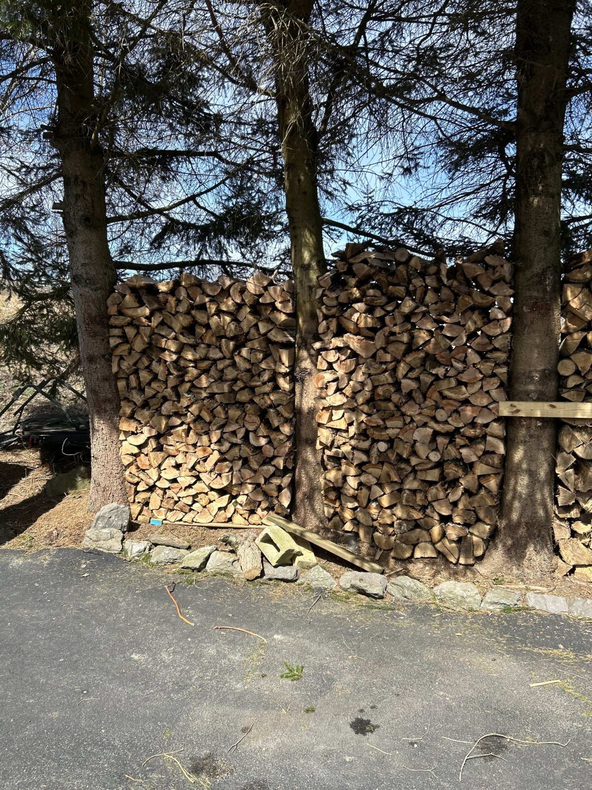 IMG_0709.jpg