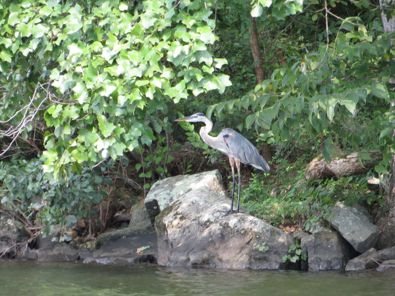 IMG_0710.jpg