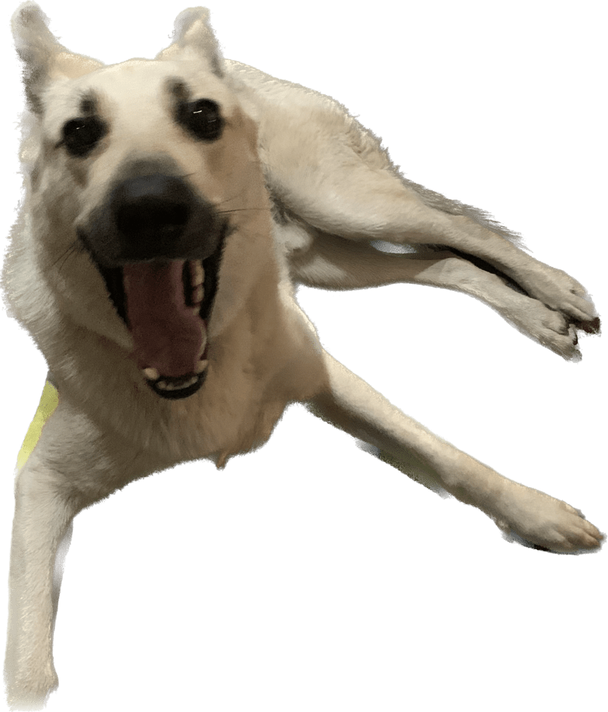 IMG_0714.png