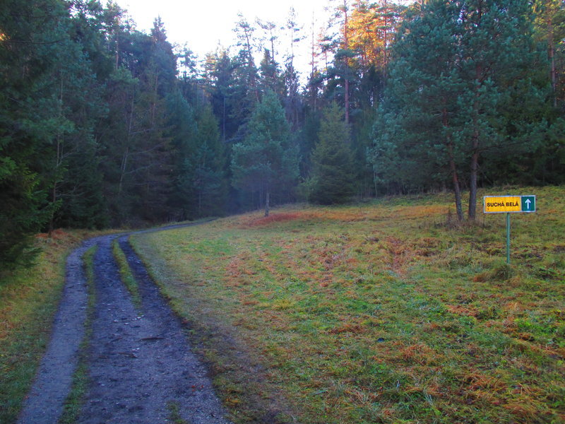 IMG_0718.jpg