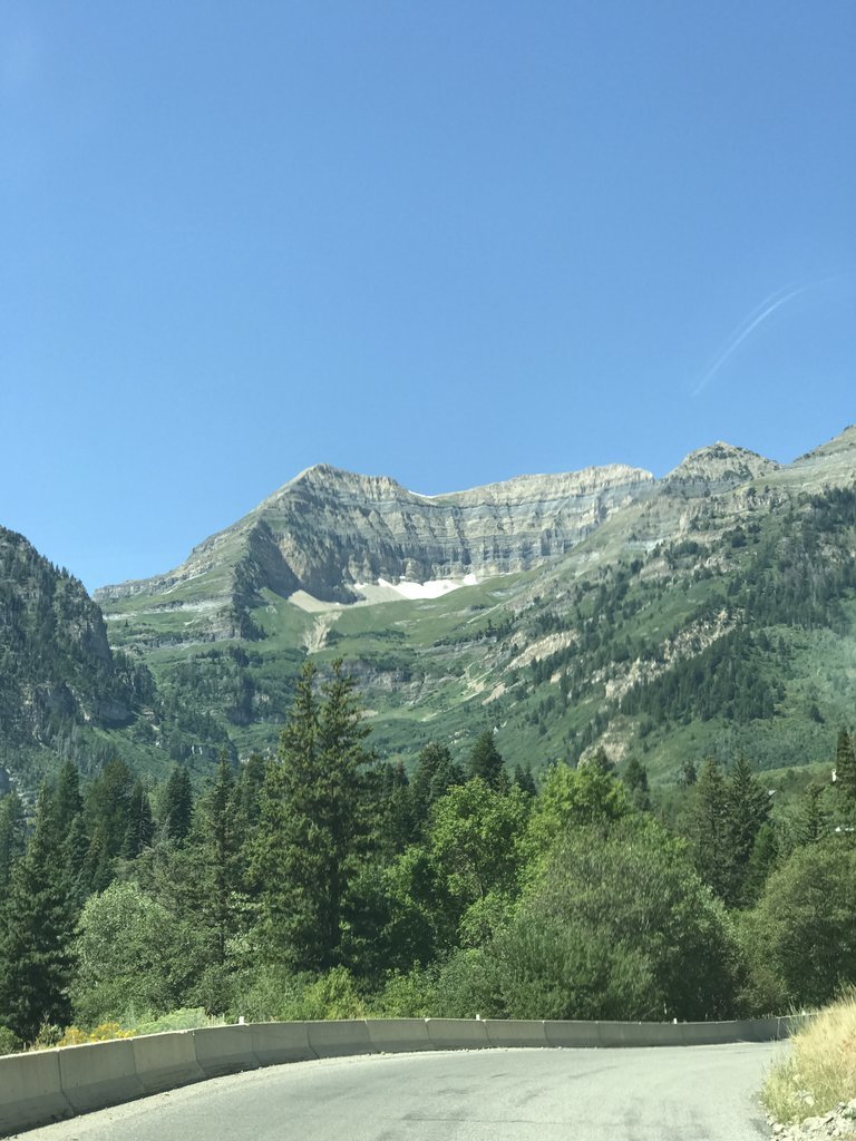 IMG_0749.jpg