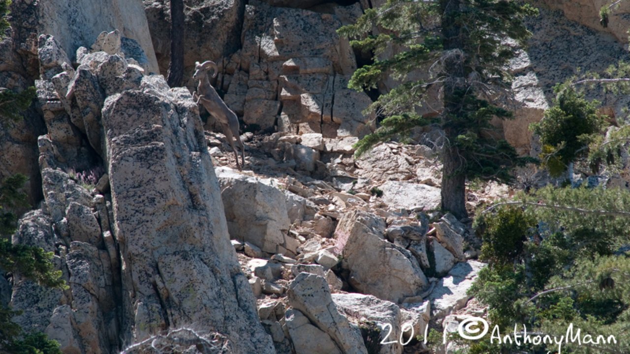 IMG_0753.jpg