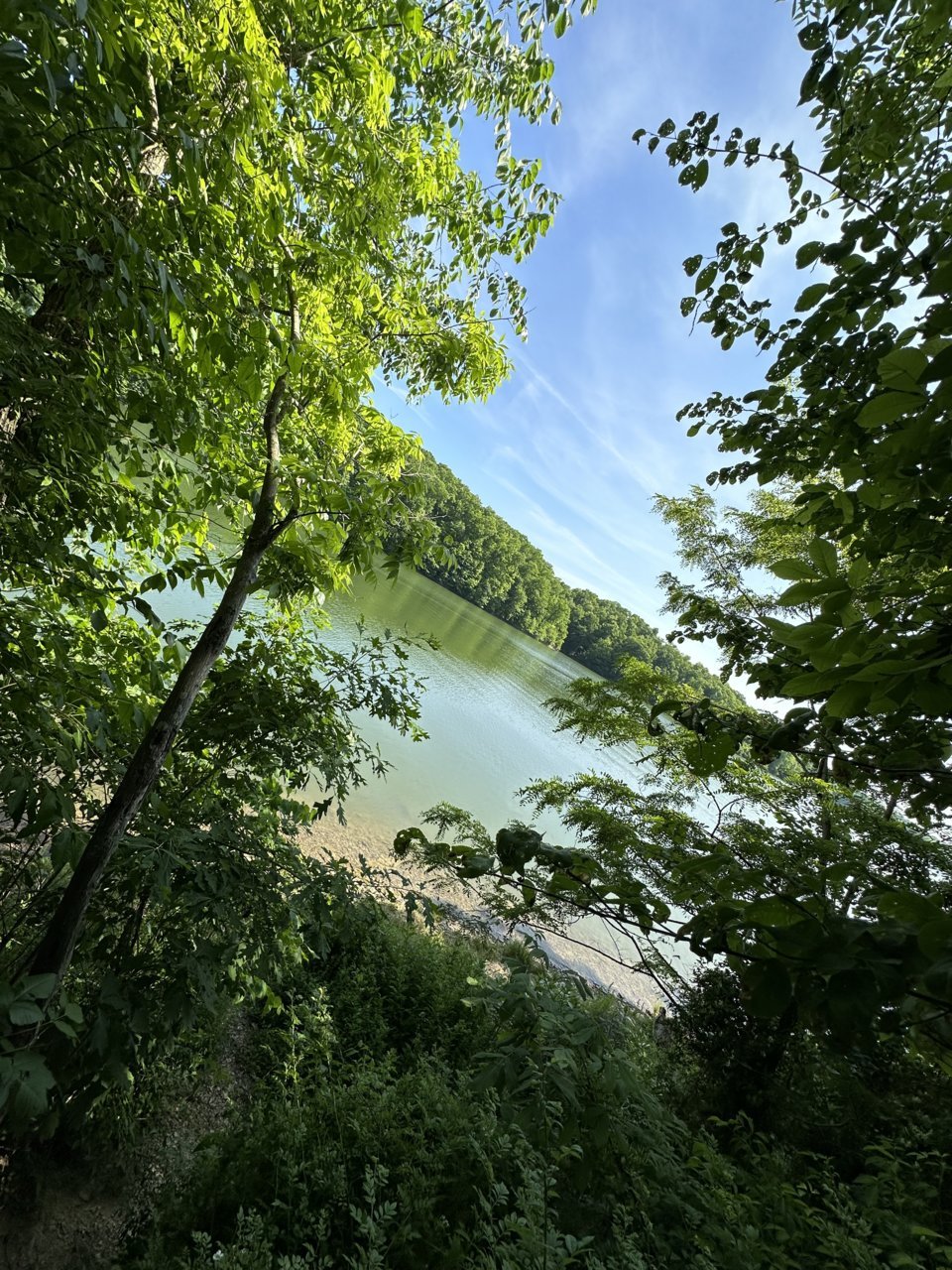 IMG_0761.jpg