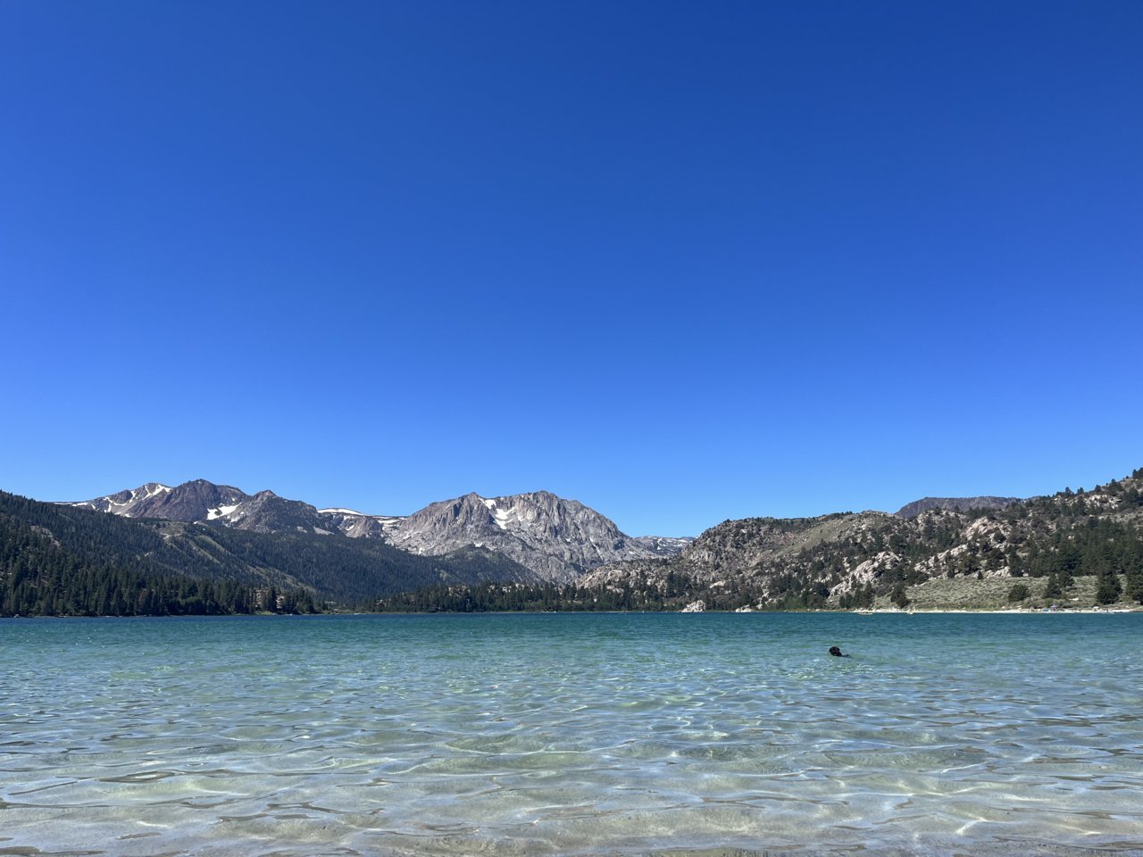 IMG_0766.jpg