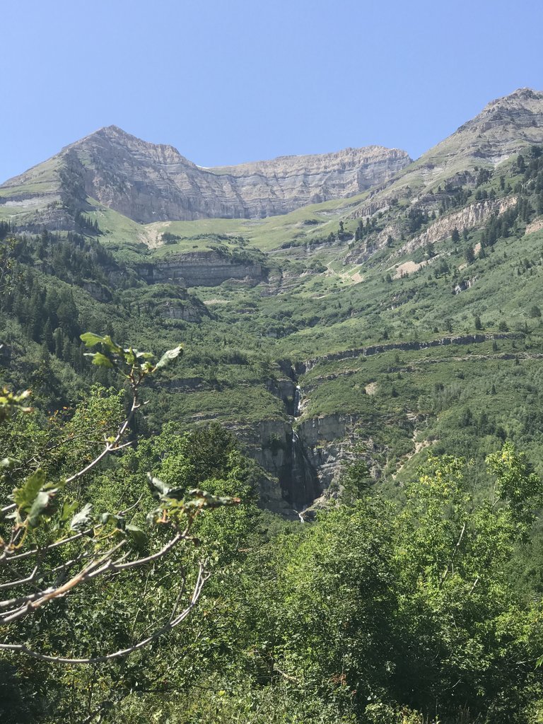 IMG_0768.jpg