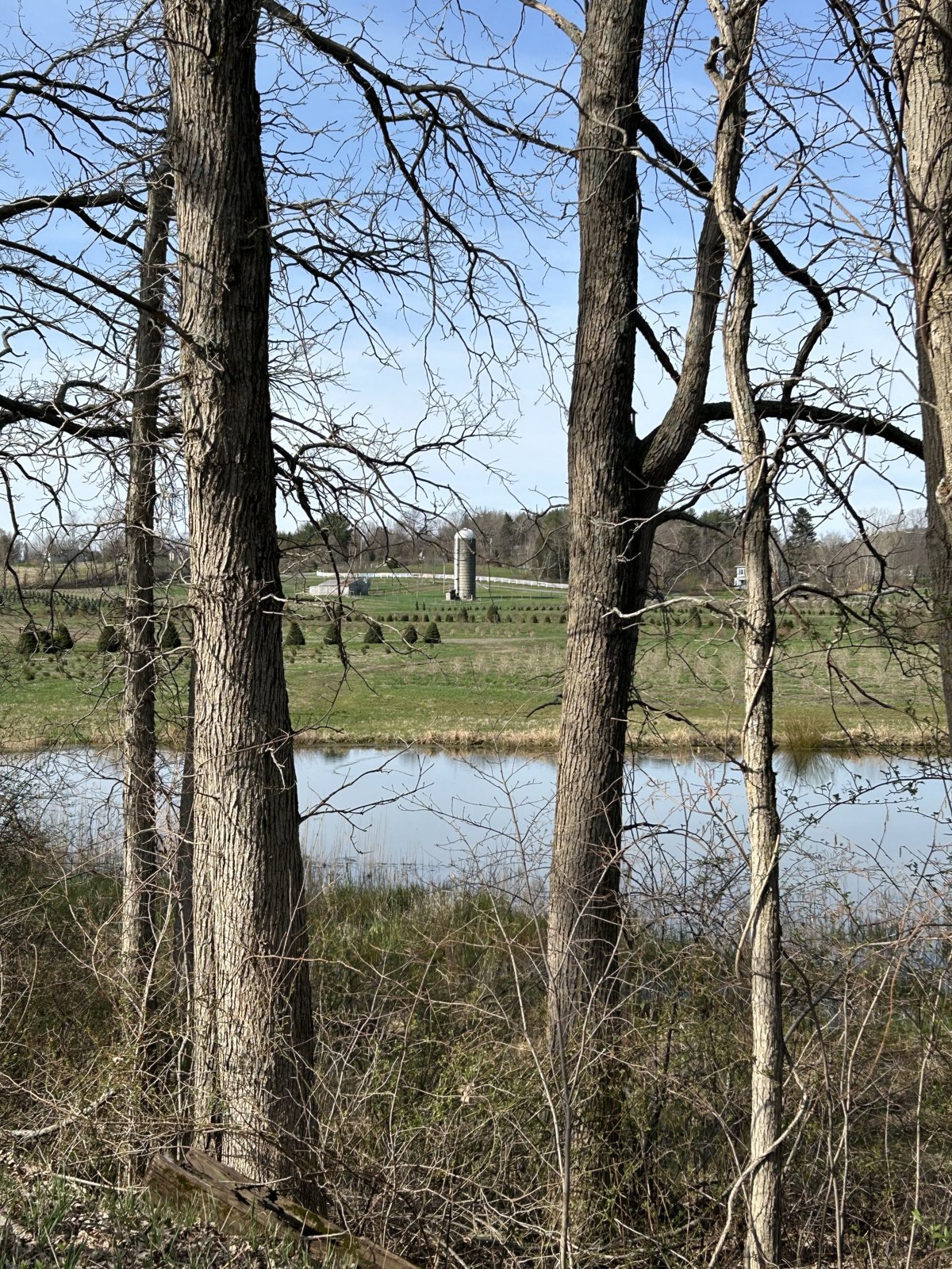 IMG_0773.jpg