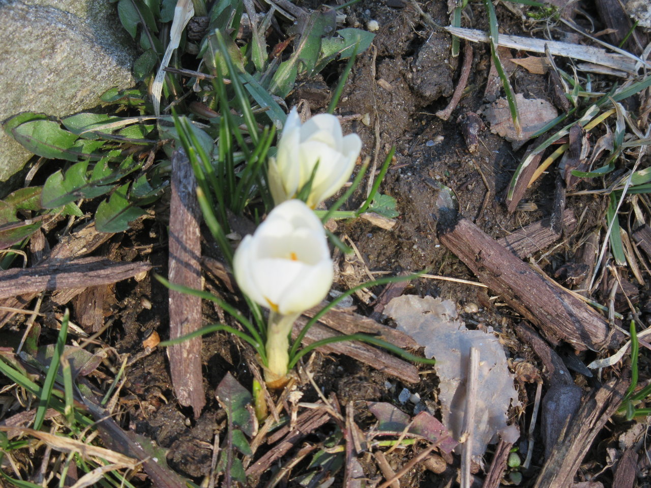 IMG_0794.jpg