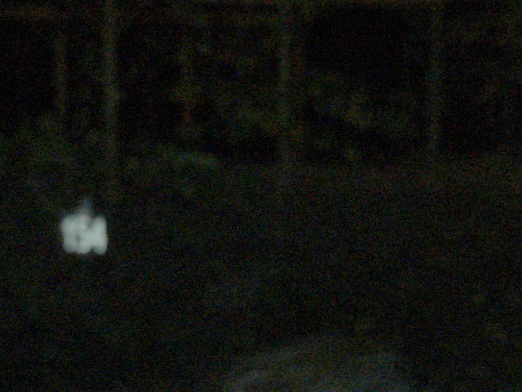 IMG_0795.jpg