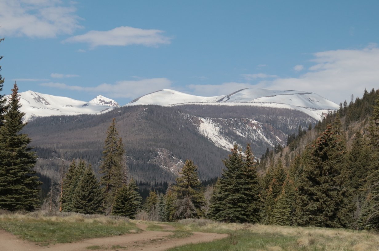 IMG_0803c.jpg