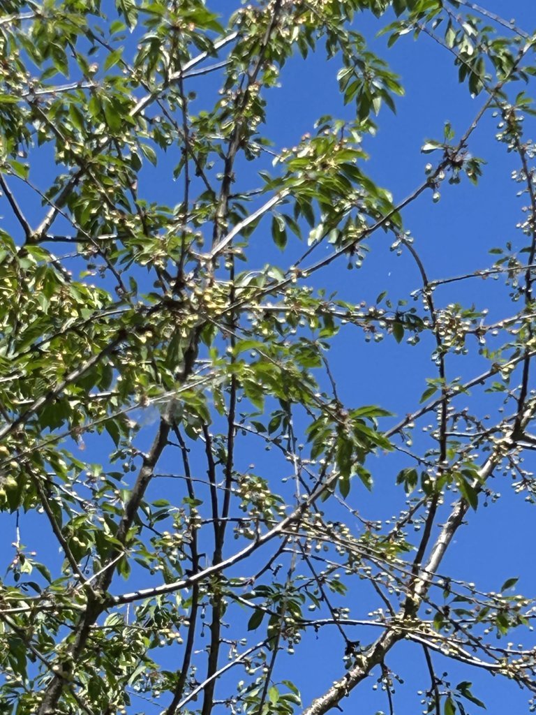 IMG_0820.jpg