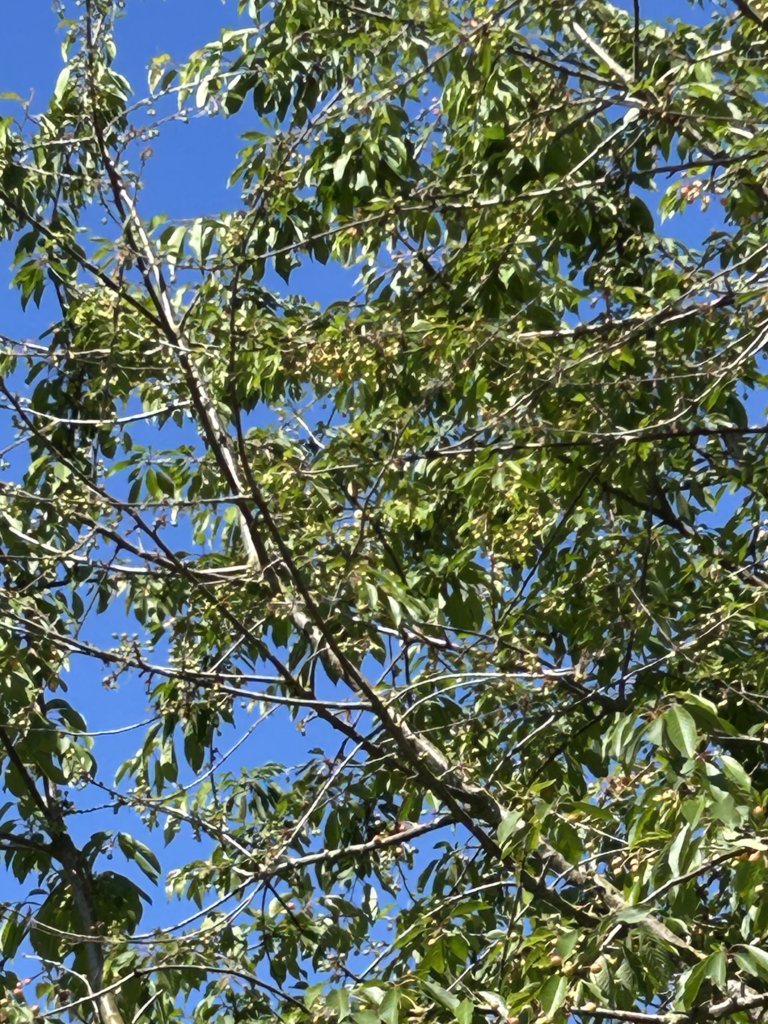 IMG_0821.jpg