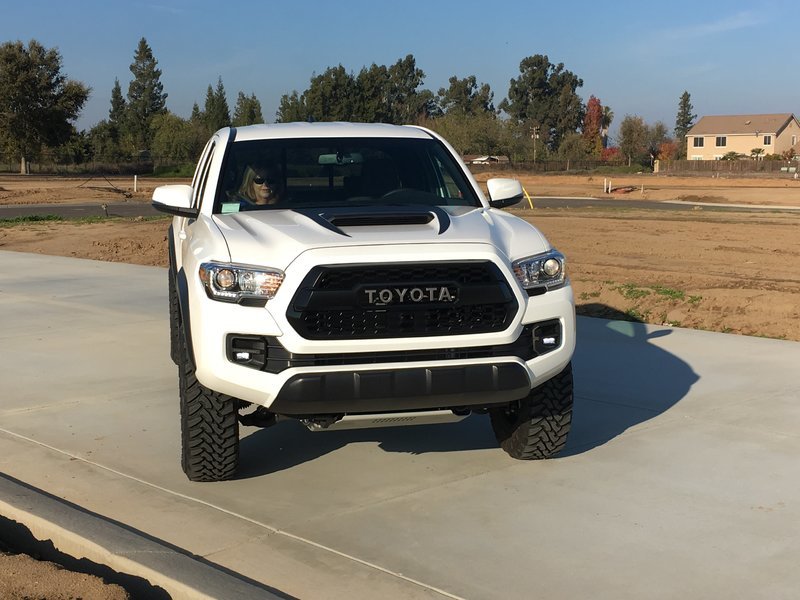 Toyota Tacoma Hood Decal Toyota Tacoma