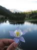 IMG_0838_301c6888c07be3af91e55d70a1b68079fff2a84e.jpg