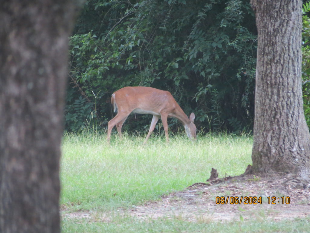 IMG_0846.jpg