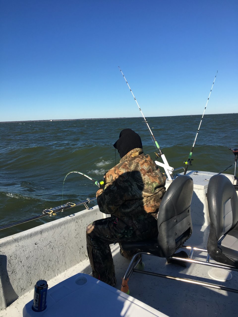 IMG_0849.jpg