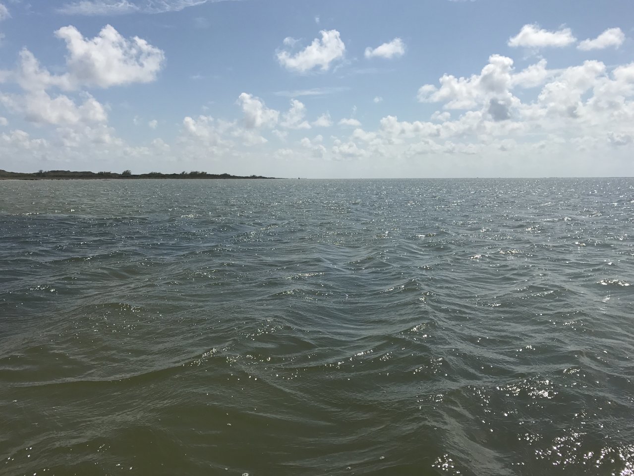 IMG_0899.jpg