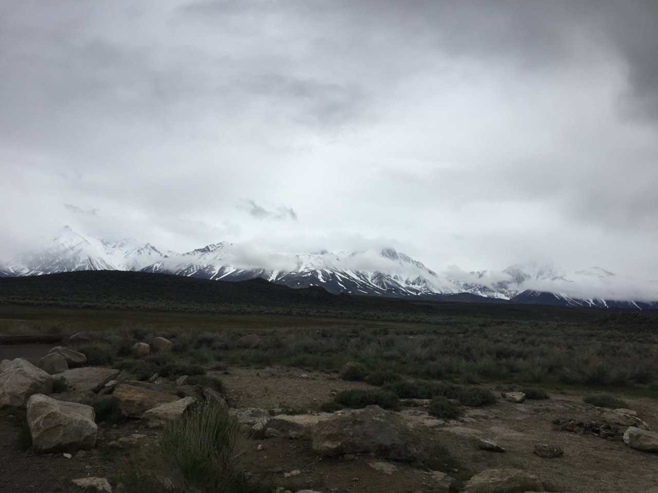 IMG_0900.jpg