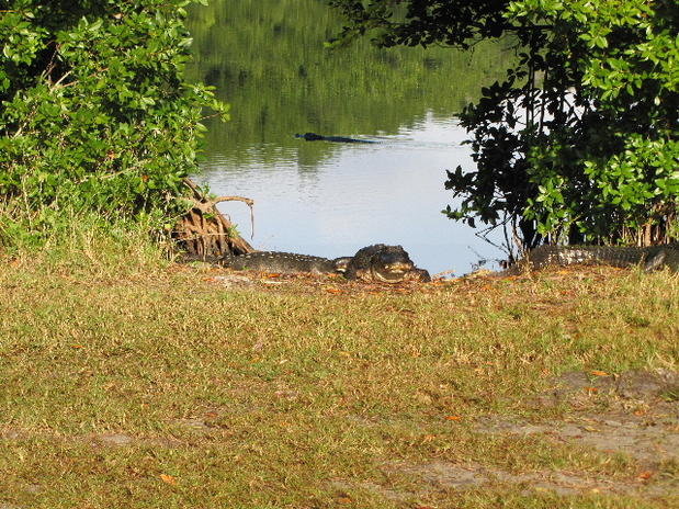 IMG_0906.jpg