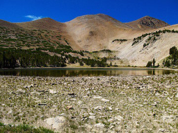 IMG_0919 copy.jpg