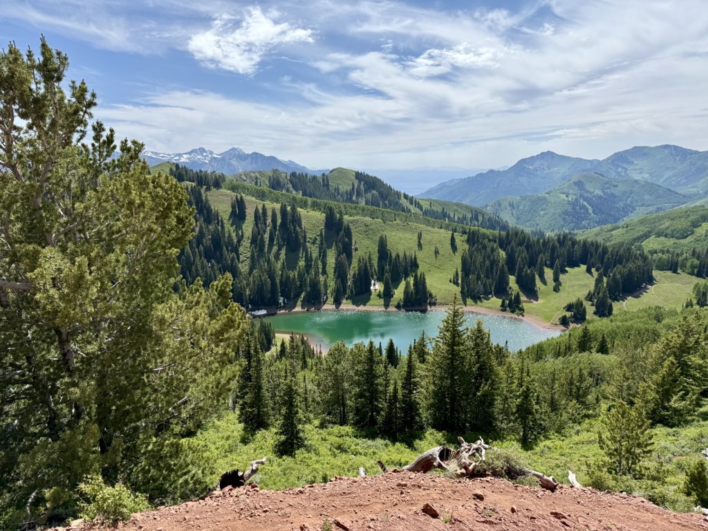 IMG_0926.jpg