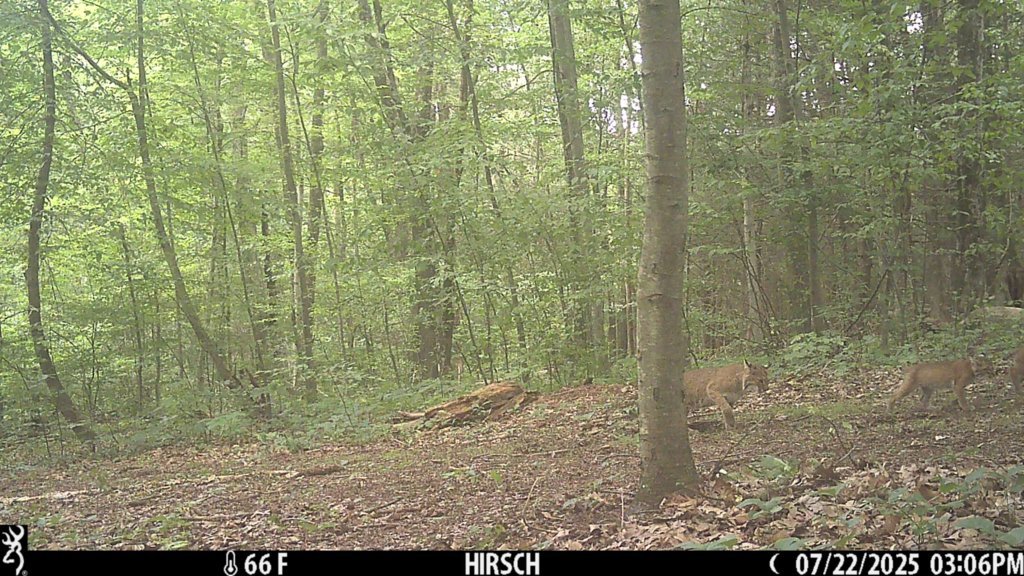 IMG_0927.jpg