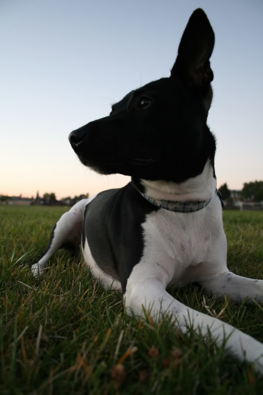 IMG_0933_8d982ae70cf40d9be2114acd6f567c43d31f5b8c.jpg