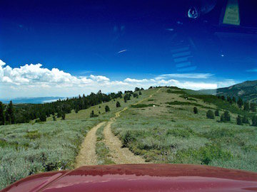 IMG_0935 copy.jpg