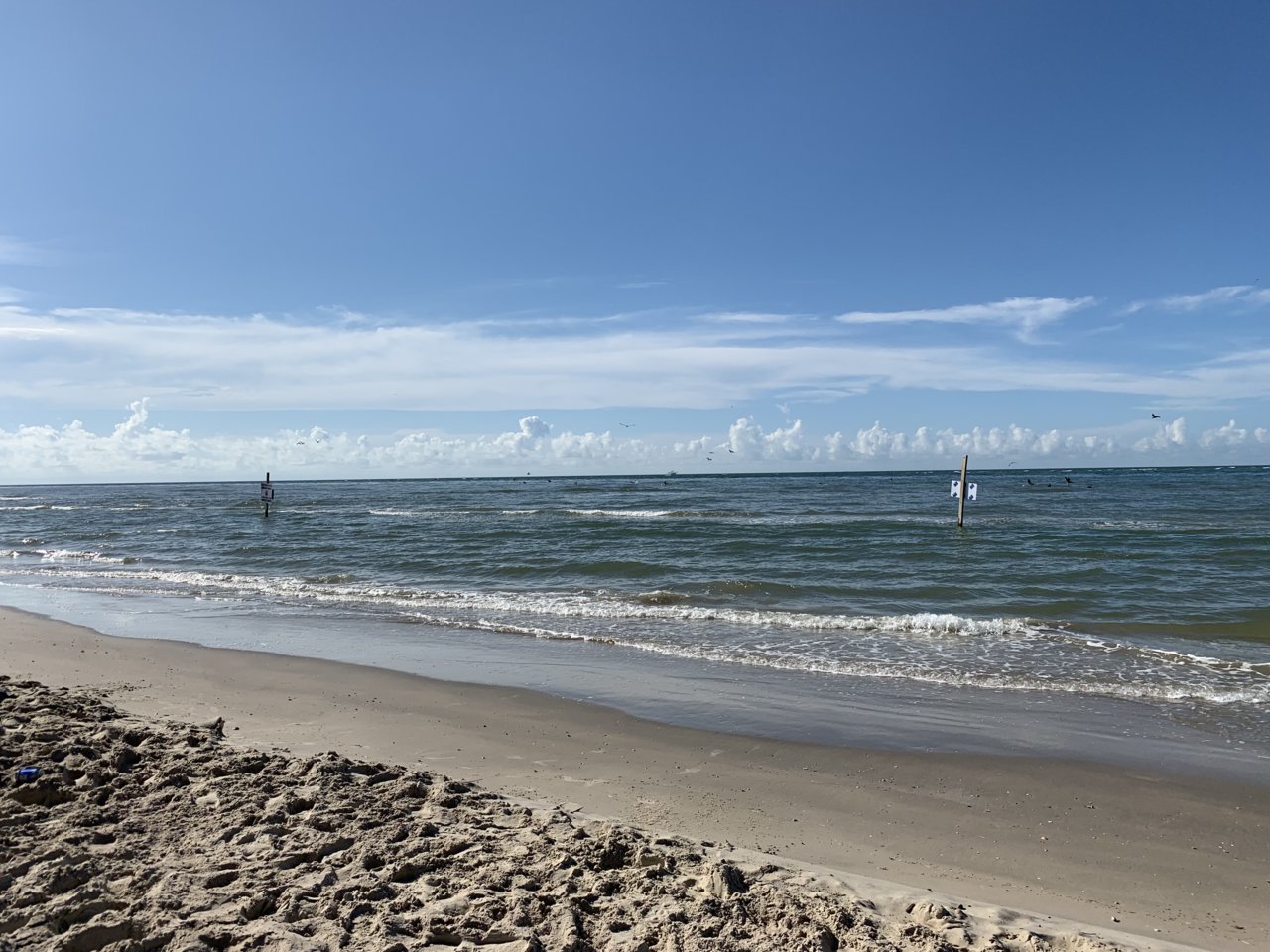 IMG_0935.jpg
