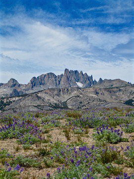 IMG_0946 copy.jpg