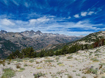 IMG_0948 copy.jpg
