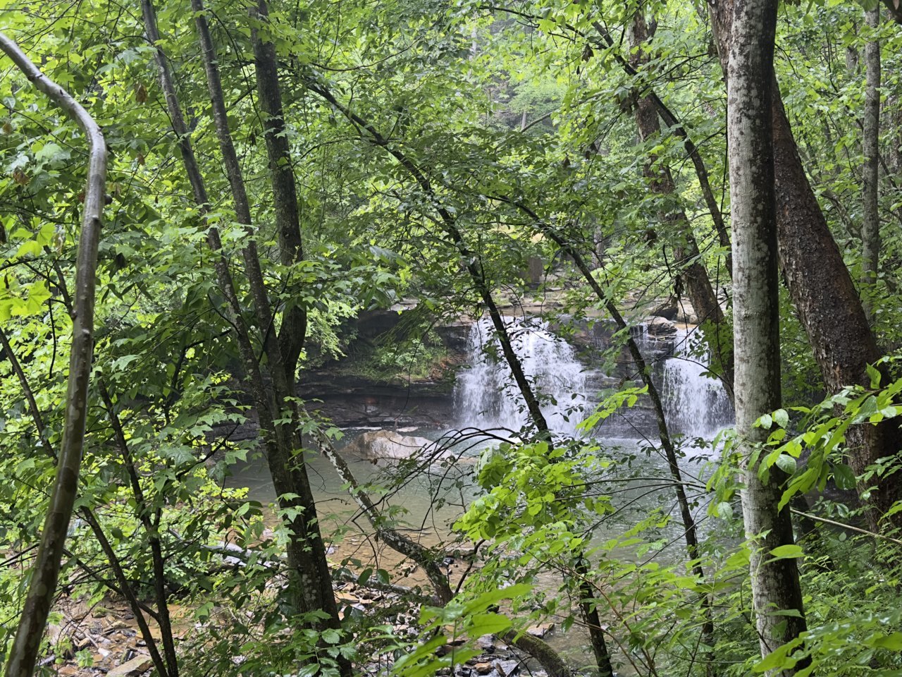 IMG_0974.jpg