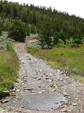 IMG_0980 copy.jpg