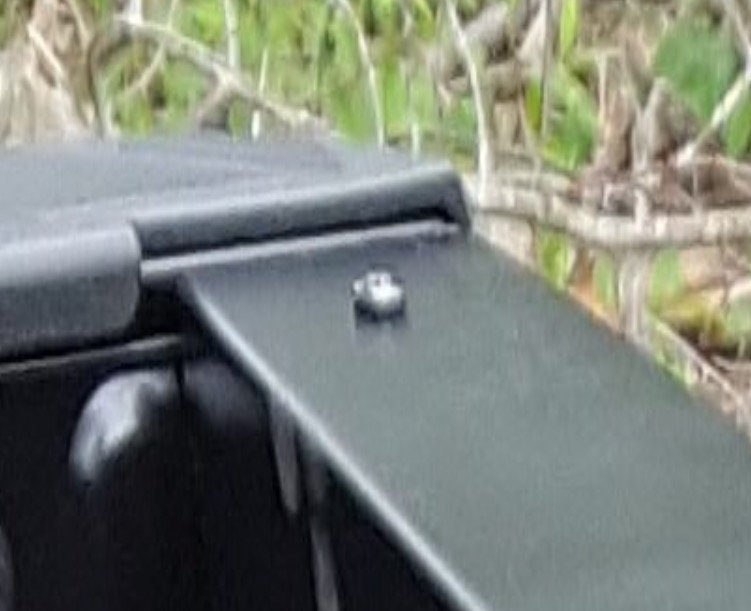 IMG_1002.PNG.jpg