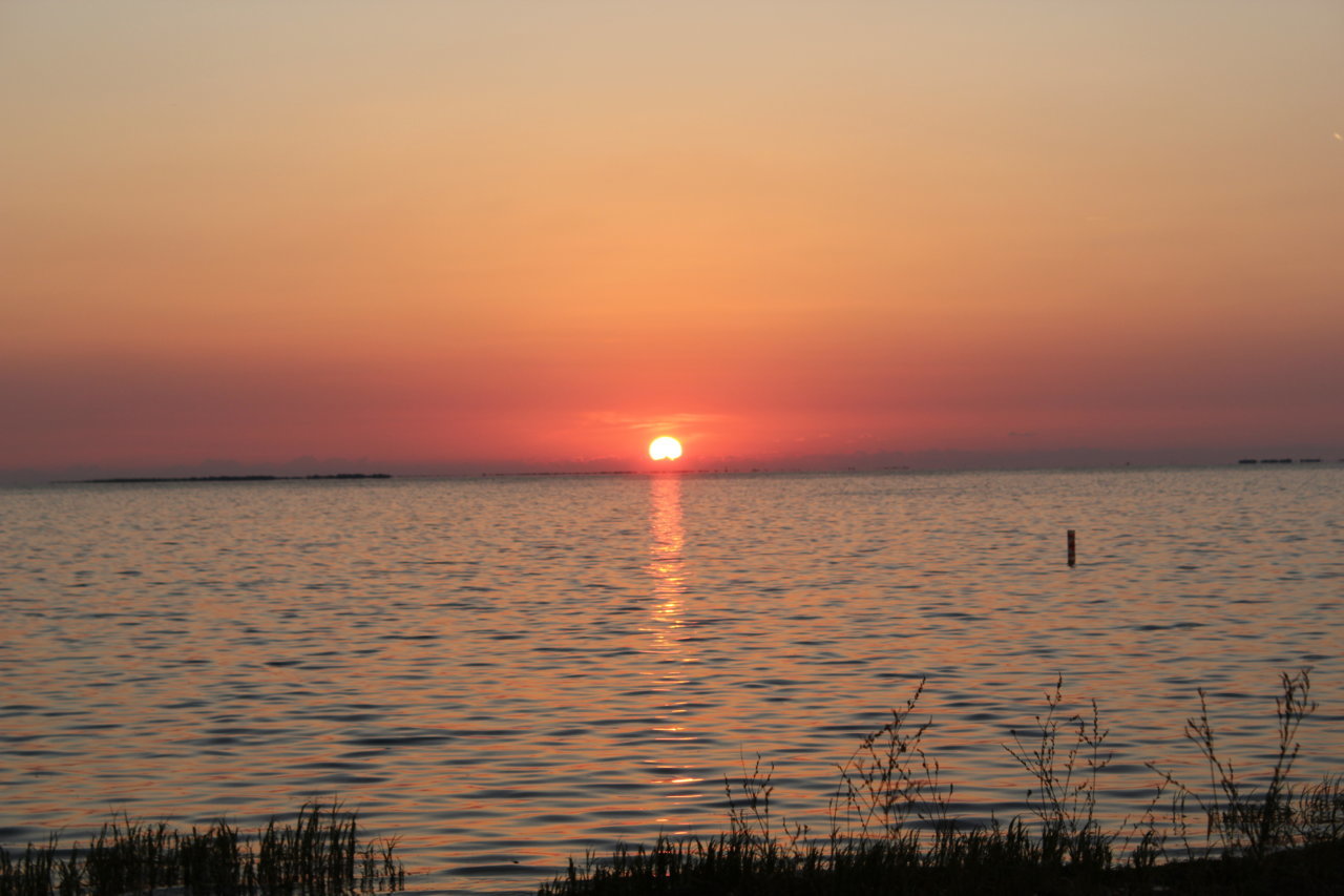 IMG_1035.jpg