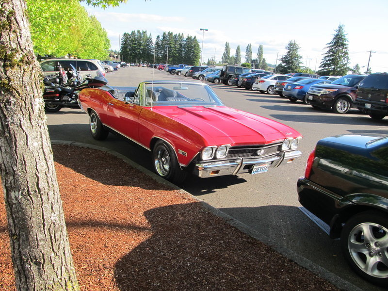 IMG_1040.jpg