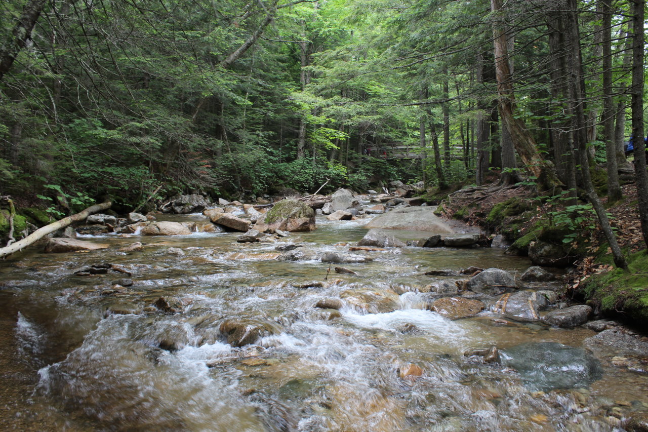IMG_1045.jpg