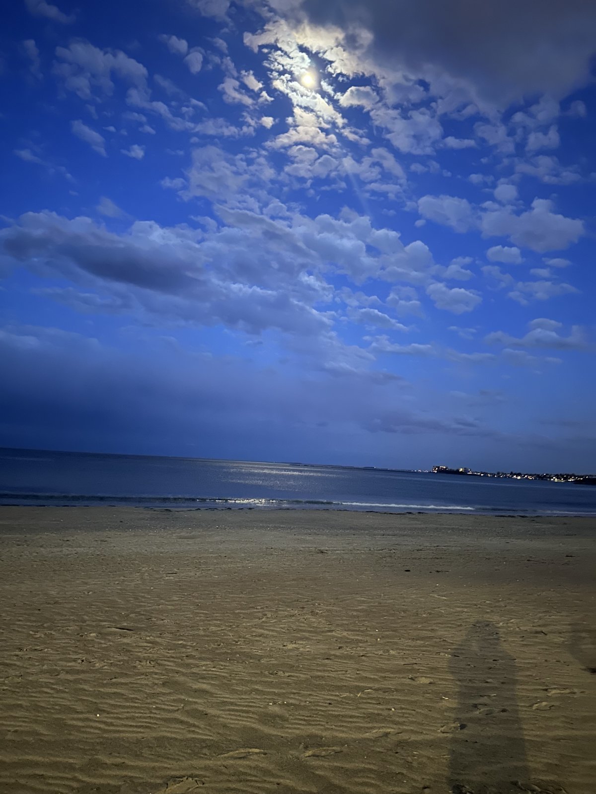 IMG_1046.jpg