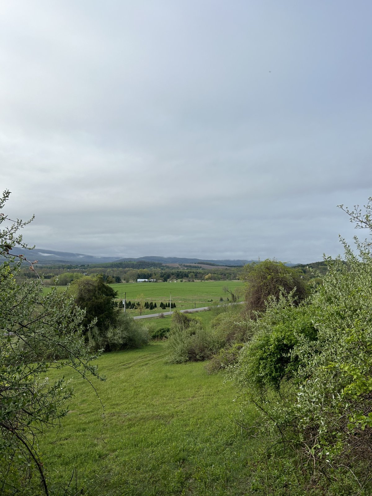 IMG_1053.jpg