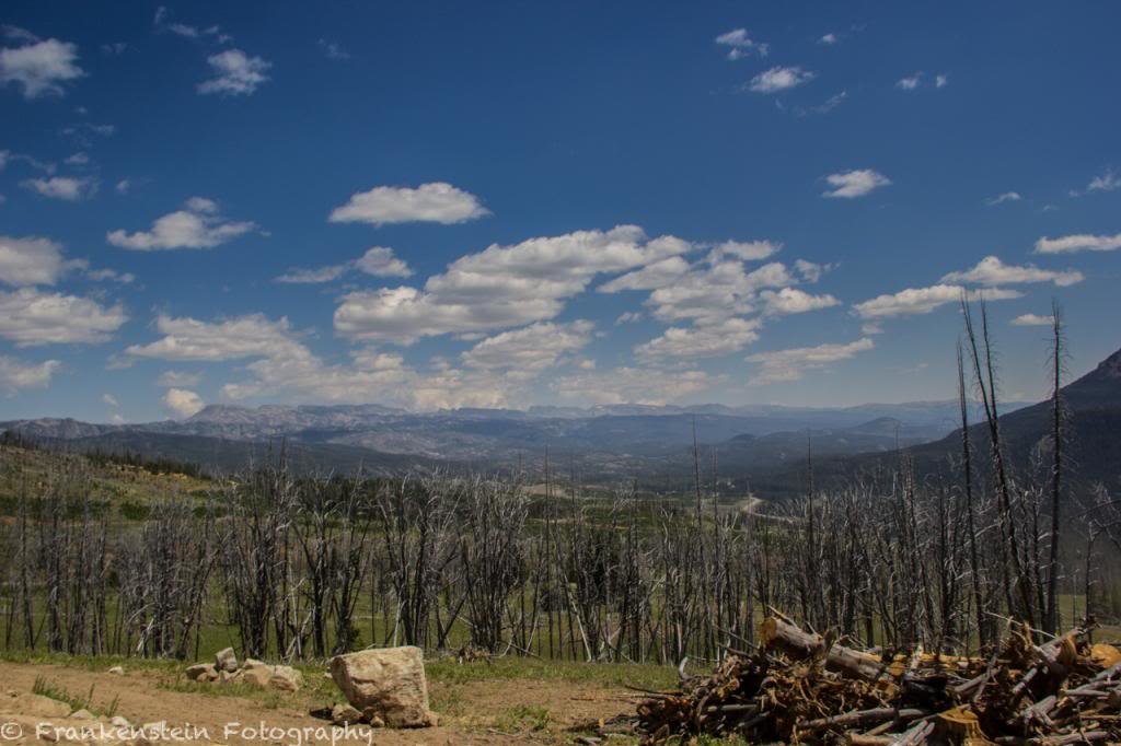 IMG_1105_zps3e3dce3e_adb7e813b4056ce17d931d023e11cdfd0c99cccc.jpg