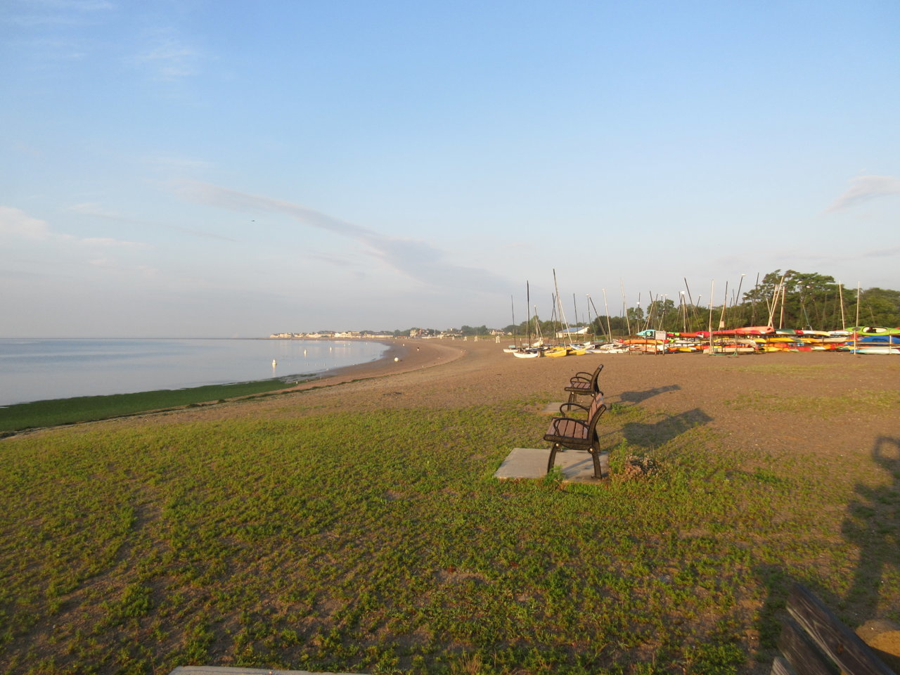 IMG_1123.jpg